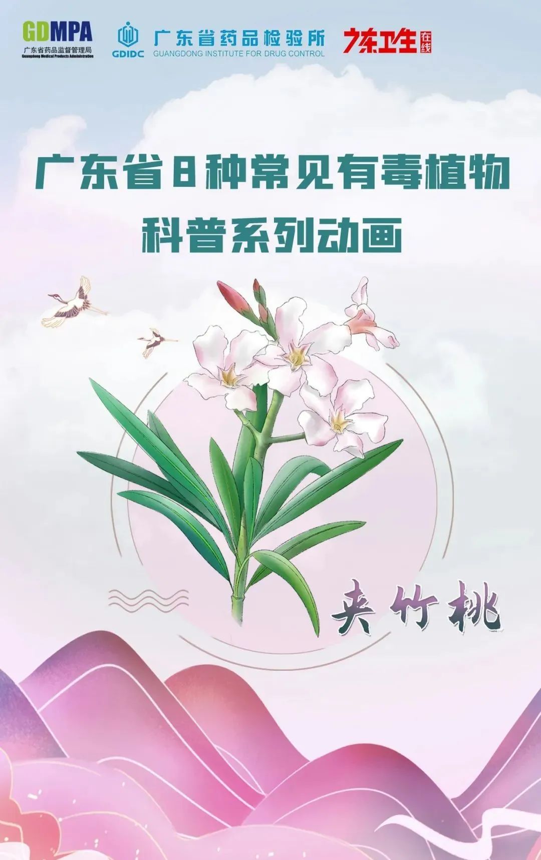 几片叶子即可致死，，，，，这莳植物还各处都是？？？？_万利国际